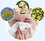 Аллергия. Комплекс - 2, 3-х месячный курс.