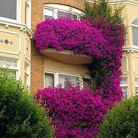 Вдохновляющий балкон