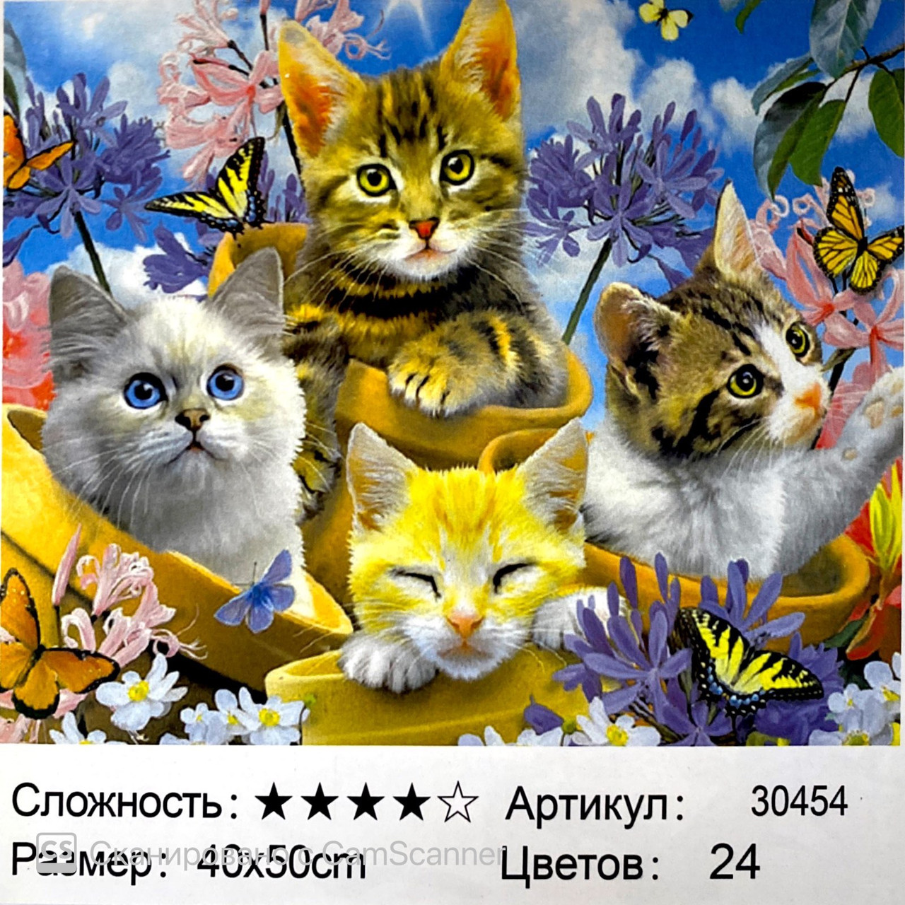 Картина по номерам " Котята" 50*40см