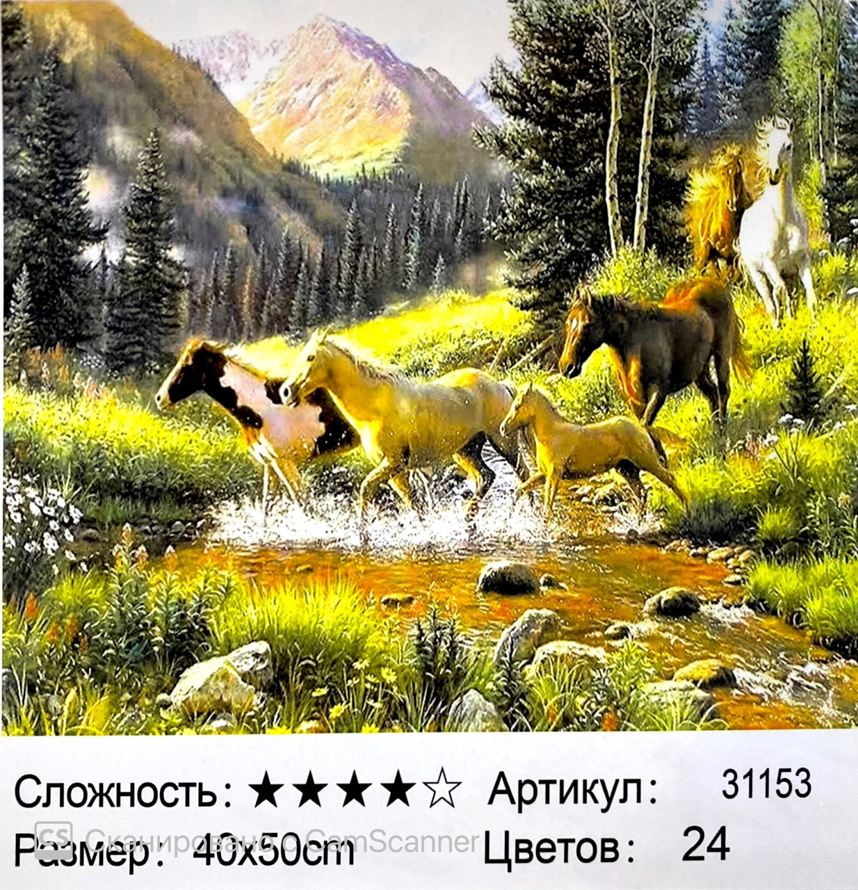 Картина по номерам " Табун" 50*40см