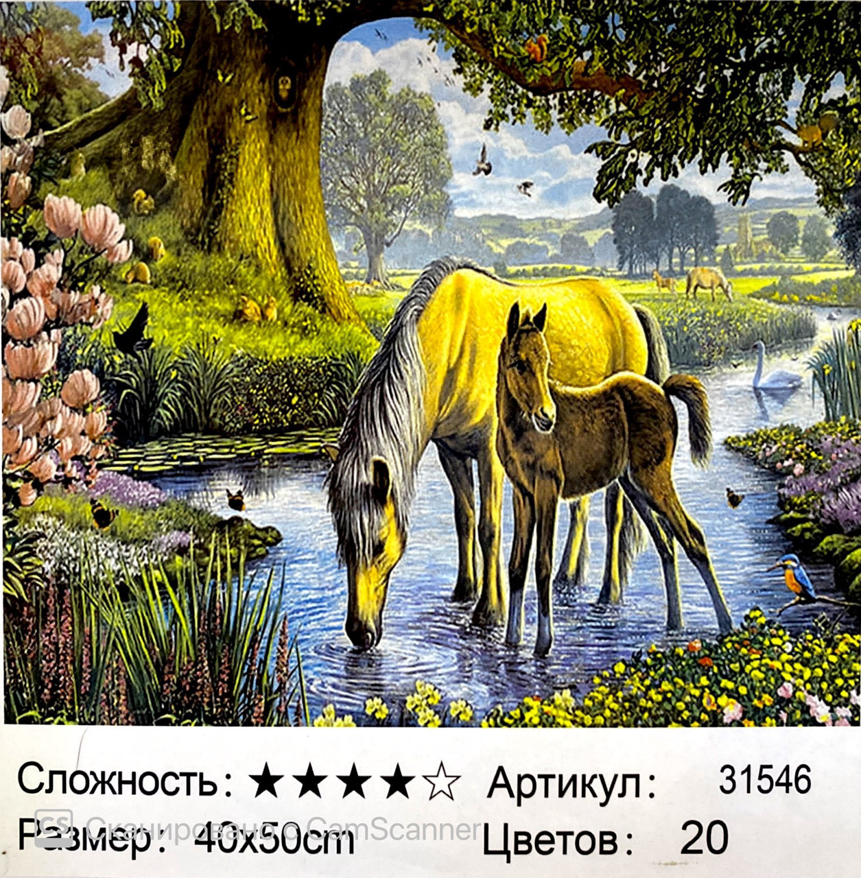 Картина по номерам " Пара лошадей" 50*40см