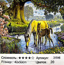 Картина по номерам "  Пара лошадей" 50*40см