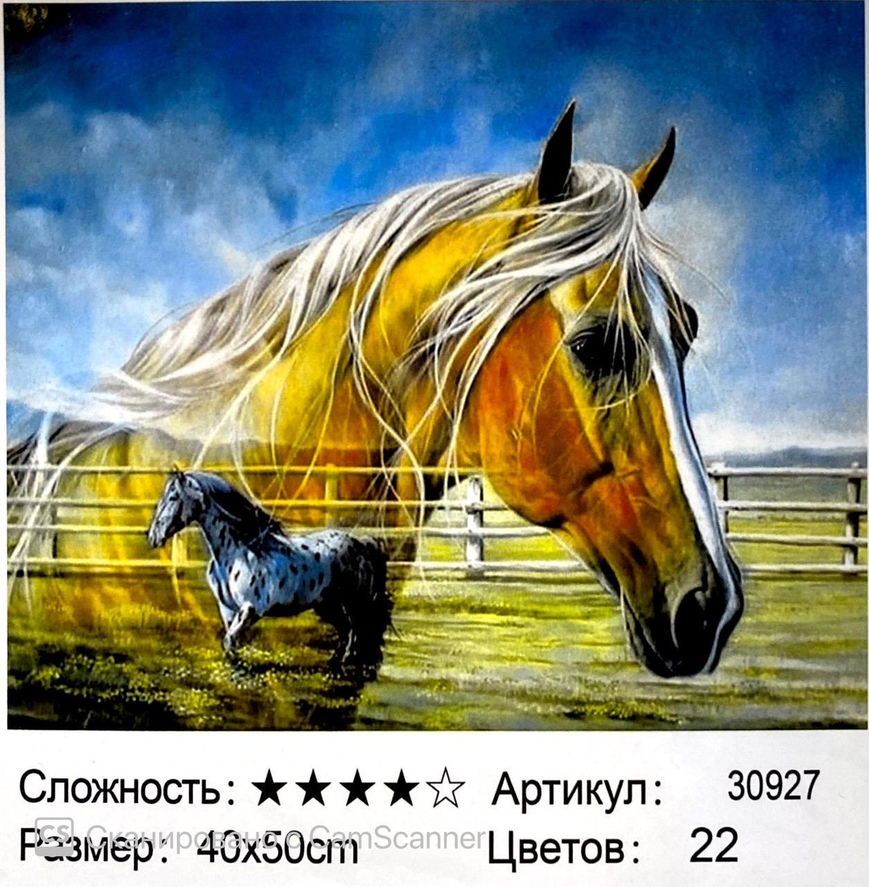 Картина по номерам "  Пара лошадей" 50*40см