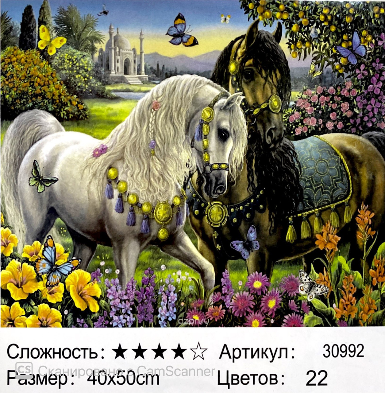 Картина по номерам " Пара лошадей" 50*40см - фото 1 - id-p84555784