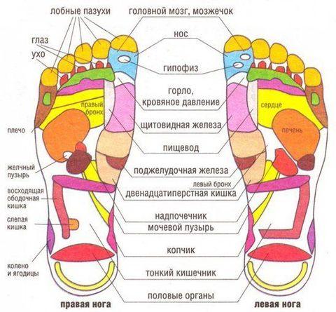 Рефлекторные массажные тапочки «Сила йоги» Foot Reflex, магнитно-акупунктурные (40-41) - фото 6 - id-p84557883