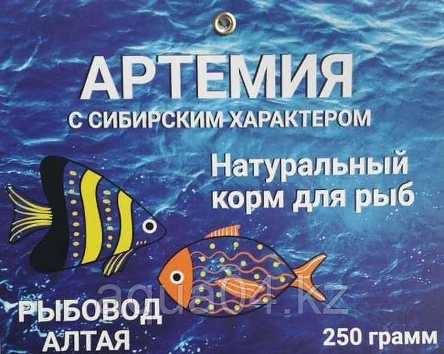 Цисты артемии (75+) (250 грамм)