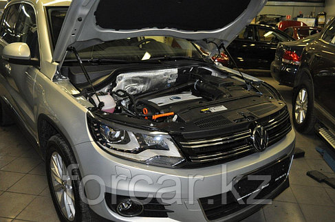 Амортизаторы (упоры) капота для Volkswagen Tiguan, фото 2