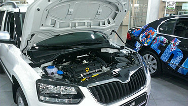 Амортизаторы (упоры) капота для Skoda Yeti (2009-н.в.), фото 2