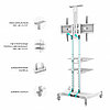 Стойка мобильная для телевизора, панелей 55" - 86", ONKRON TS1881, белый, фото 3