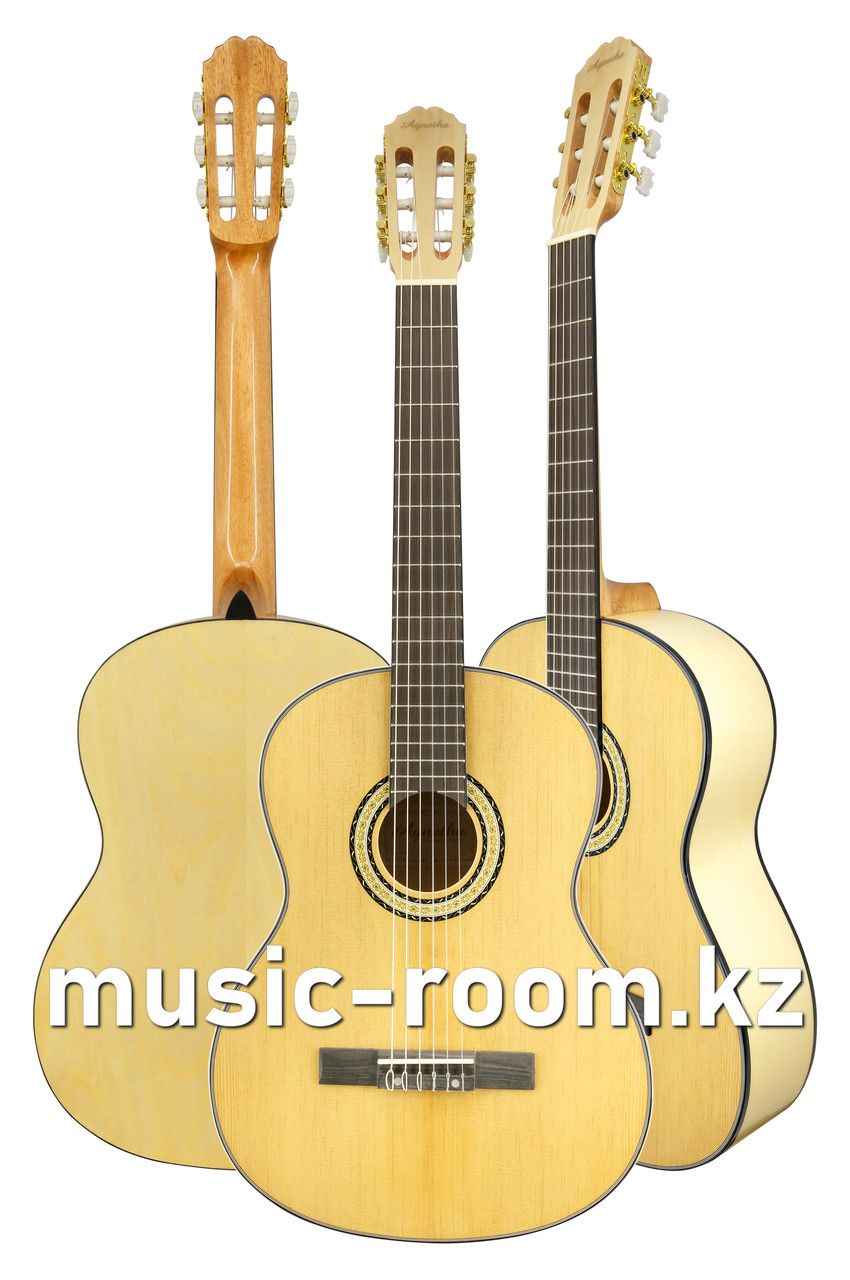 Гитара классическая Agnetha AСG-E160 N - фото 1 - id-p84687378
