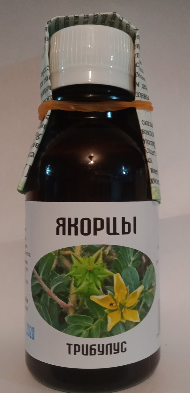 Якорцы Стелющиеся Купить В Аптеке Цена Гомель