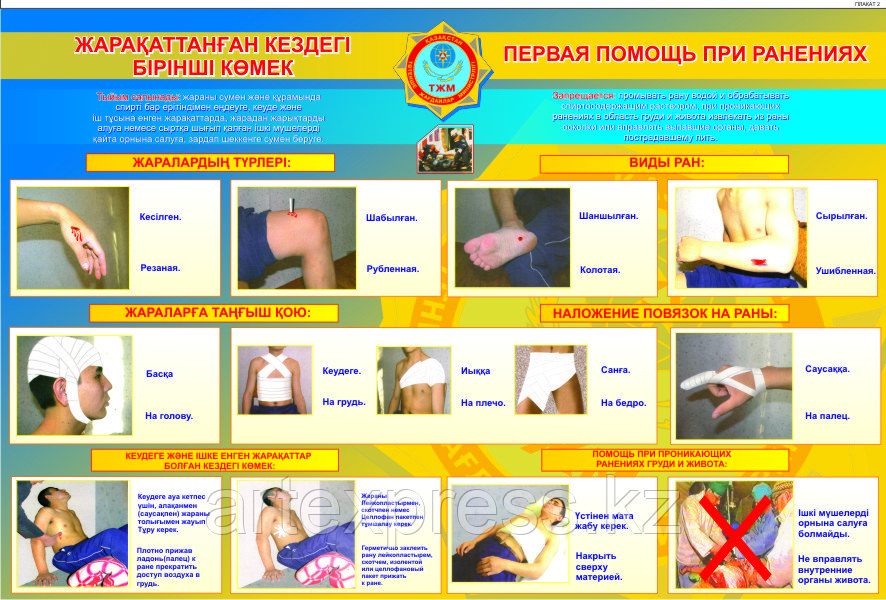 Феррет секс бейнелері Корольдік секс