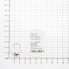 Серьги из серебра с фианитами TEOSA R-DRGR00768-RB, фото 6