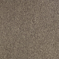 Ковровая плитка Balsan Pilote 2 750