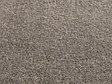 Ковровые покрытия Jacaranda Carpets Bilpar Oatmeal, фото 6