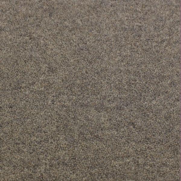 Ковровые покрытия Jacaranda Carpets Bilpar Steel Grey
