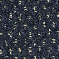 Ковровые покрытия Balsan Balmoral Balmoral 980