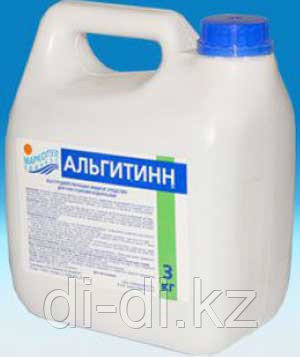 Альгитинн 3,0л канистра, жидк. ср-во для борьбы с водорослями
