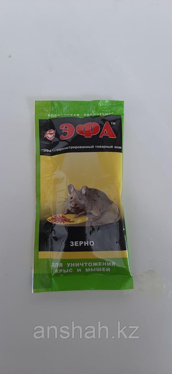 Эфа от крыс и мышей зерно 30 гр. (170 шт)
