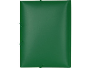 Папка формата А4 на резинке, зеленый, фото 3