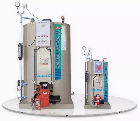 Паровой газовый котел Sekwang Boiler SEK 300, фото 1