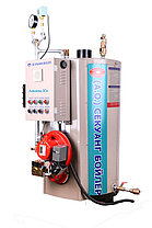 Паровой газовый котел Sekwang Boiler SEK 300, фото 3