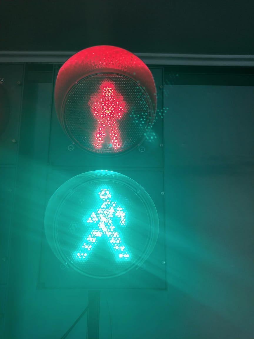 Светодиодный пешеходный светофор П.1.1 - d 200 мм (МАСКА).РОССИЯ - фото 6 - id-p84104647