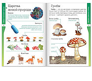 Книжки-шпаргалки набор «Знакомимся с окружающим миром», 6 шт. 18*12см, фото 3