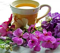 Целебный и оздоровительный чай