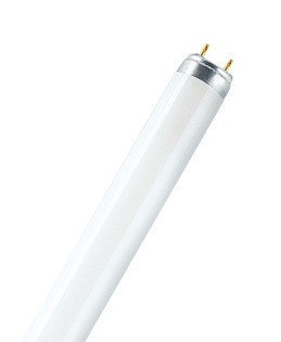 Лампа люмининесцентная L 36 W/765 T8 6500K Osram, фото 1