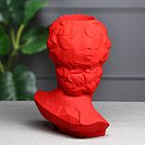 Органайзер-кашпо "Голова Давида" красный, 26 см, фото 4
