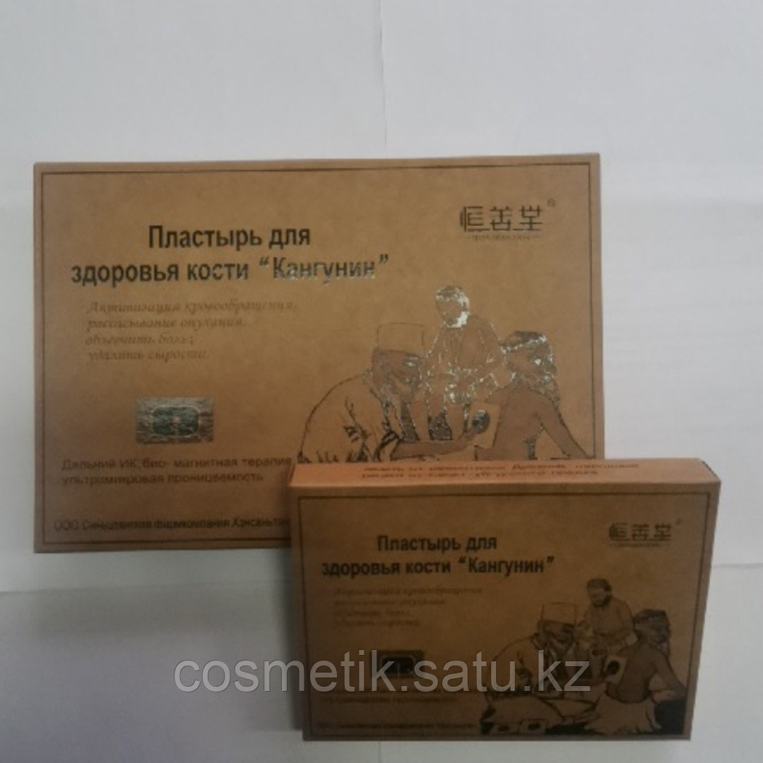 Пластырь кангунин