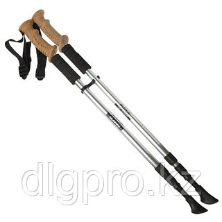 Әйелім үшін тосын сый