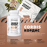 Кордис - комплексная защита сердца, Арт Лайф, 120 таблеток, фото 2