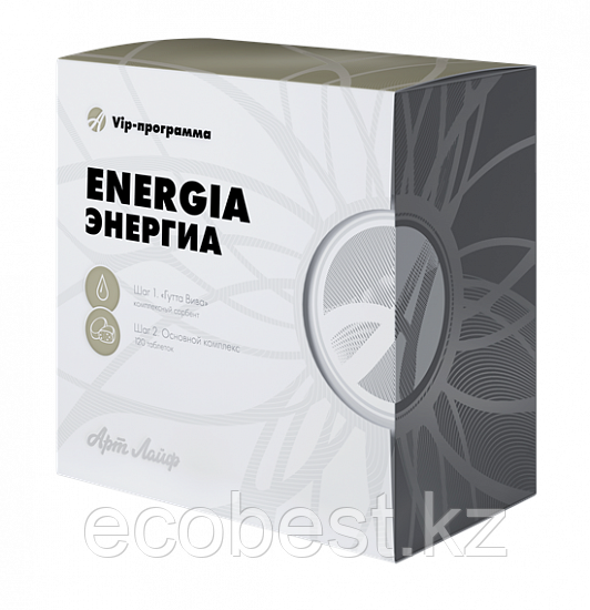 VIP-программа Энергиа - комплекс для управления энергией организма, Арт Лайф, 120 таблеток, фото 1