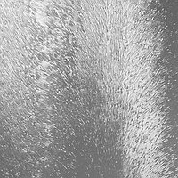 Стекло Бесцветное Узорчатое "Шиншиилла" Листовое 4мм