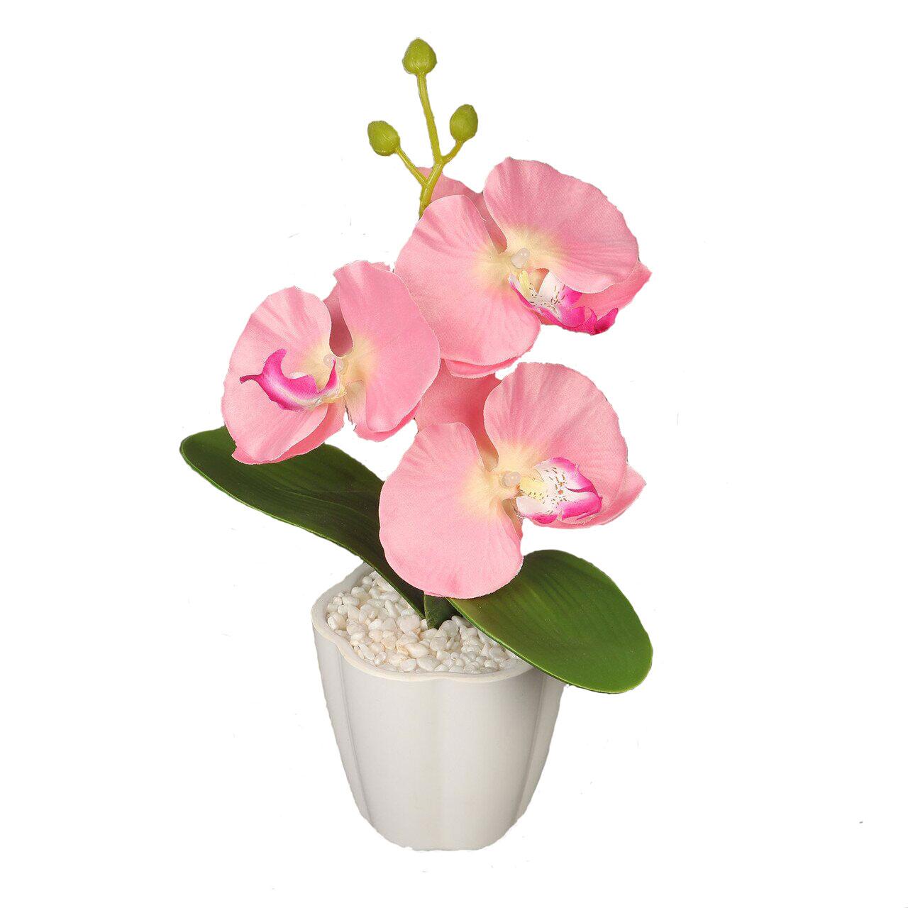 Декоративная композиция-вазон Орхидеи - Оплата Kaspi Pay