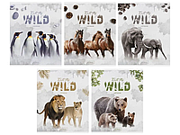 Тетрадь общая ArtSpace "Животные. Into the wild", А5, 48 листов в клетку, на скрепке