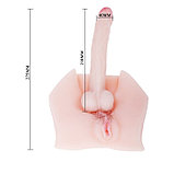 Гнущийся фаллос с вагиной Male Cock and Vagina, фото 4