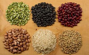 Микрозелень семена, Съедобные Цветы, Наборы для выращивания, Проращиватели