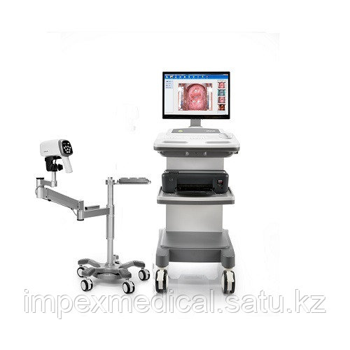 Желідегі дефлорация порно