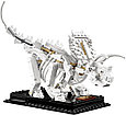 21320 Lego Ideas Кости динозавра, фото 8