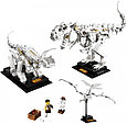 21320 Lego Ideas Кости динозавра, фото 3