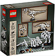 21320 Lego Ideas Кости динозавра, фото 2