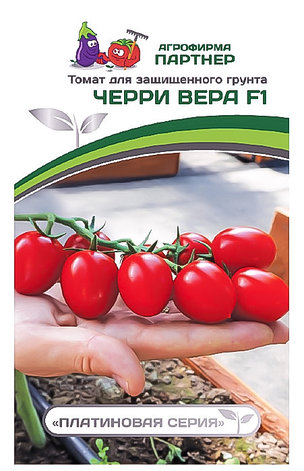 Агрофирма «Партнер». Семена томатов «ЧЕРРИ ВЕРА F1»., фото 2