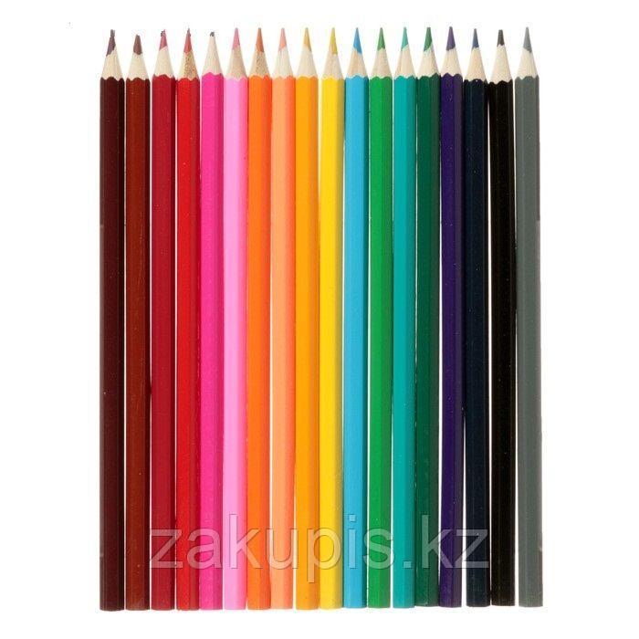 Набор цветных карандашей - фото 1 - id-p85739422