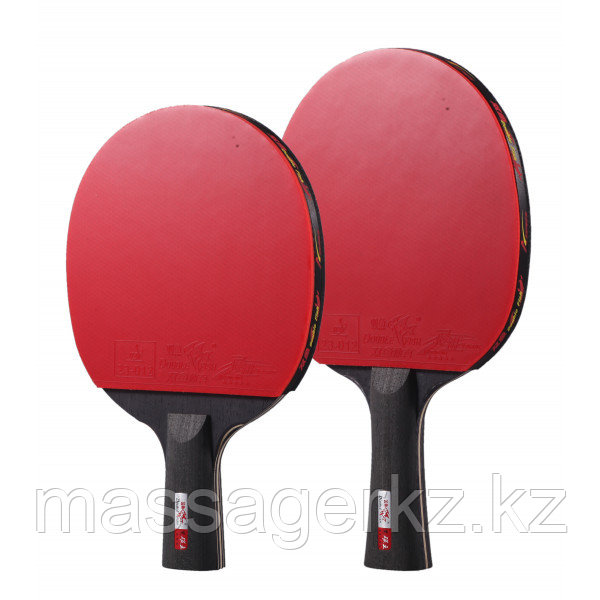 Ракетка для настольного тенниса Double Fish Black Carbon (3-Stars), фото 1