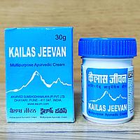 Кайлаш Дживан Kailash Jeevan - натуральный противовоспалительный, антисептический, заживляющий крем, 30 гр.