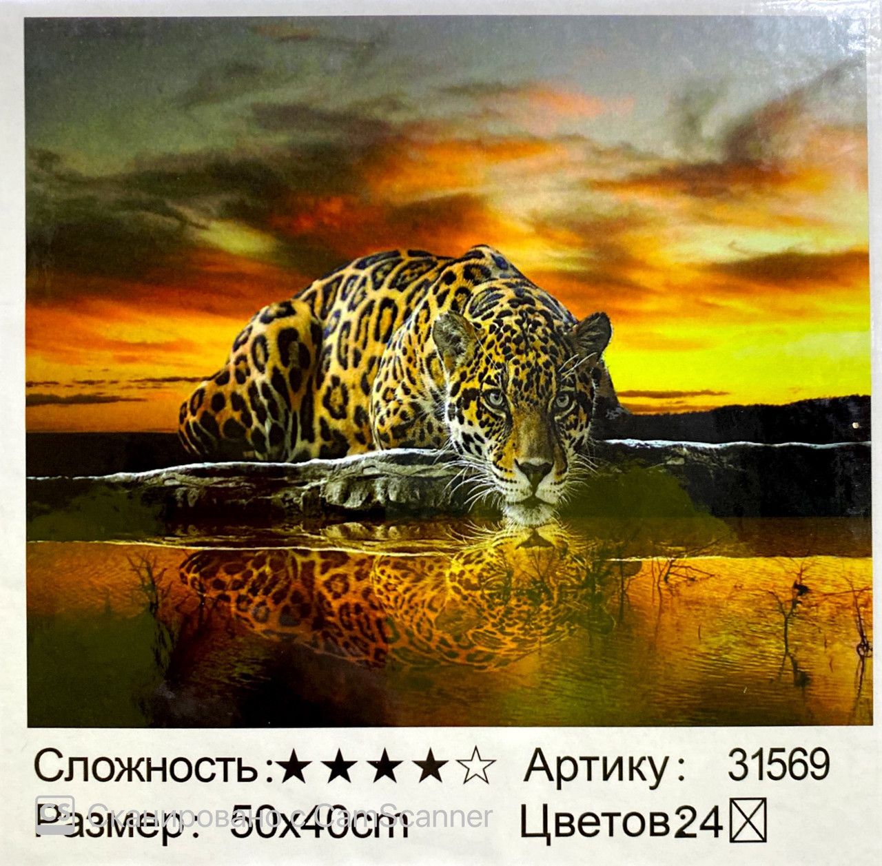 Картина по номерам  " Леопард" 50*40см