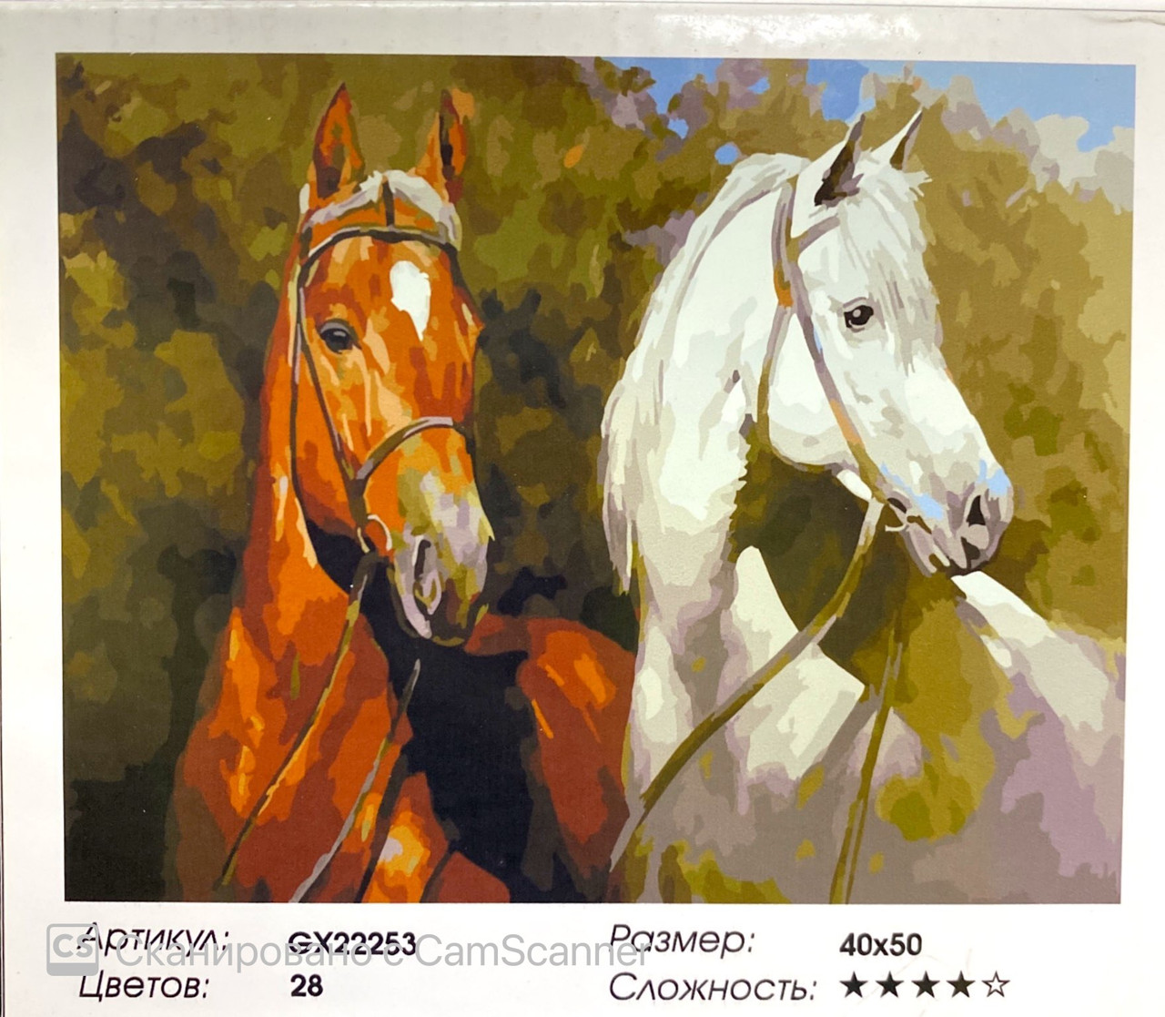 Картина по номерам " Лошади " 50*40см